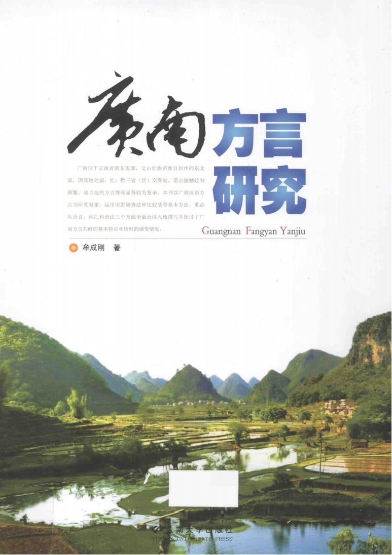 广南方言研究-滇史网