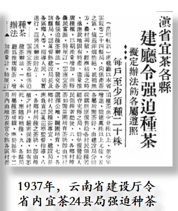 d2b5ca33bd20260211164152