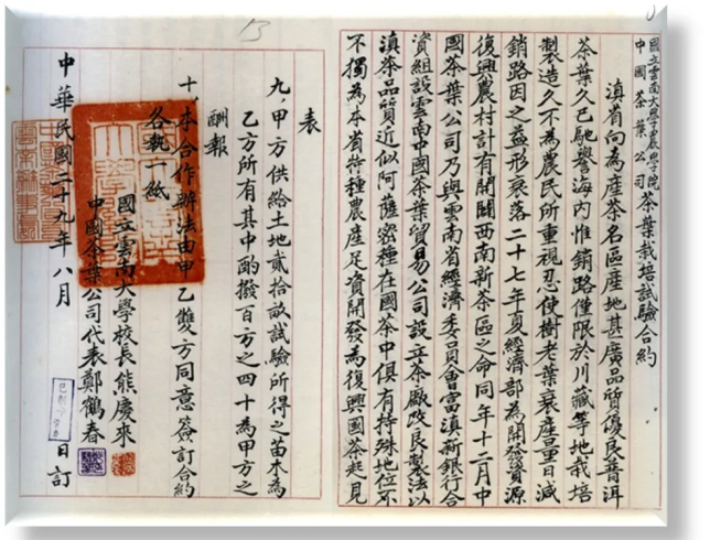 d2b5ca33bd20260211164747