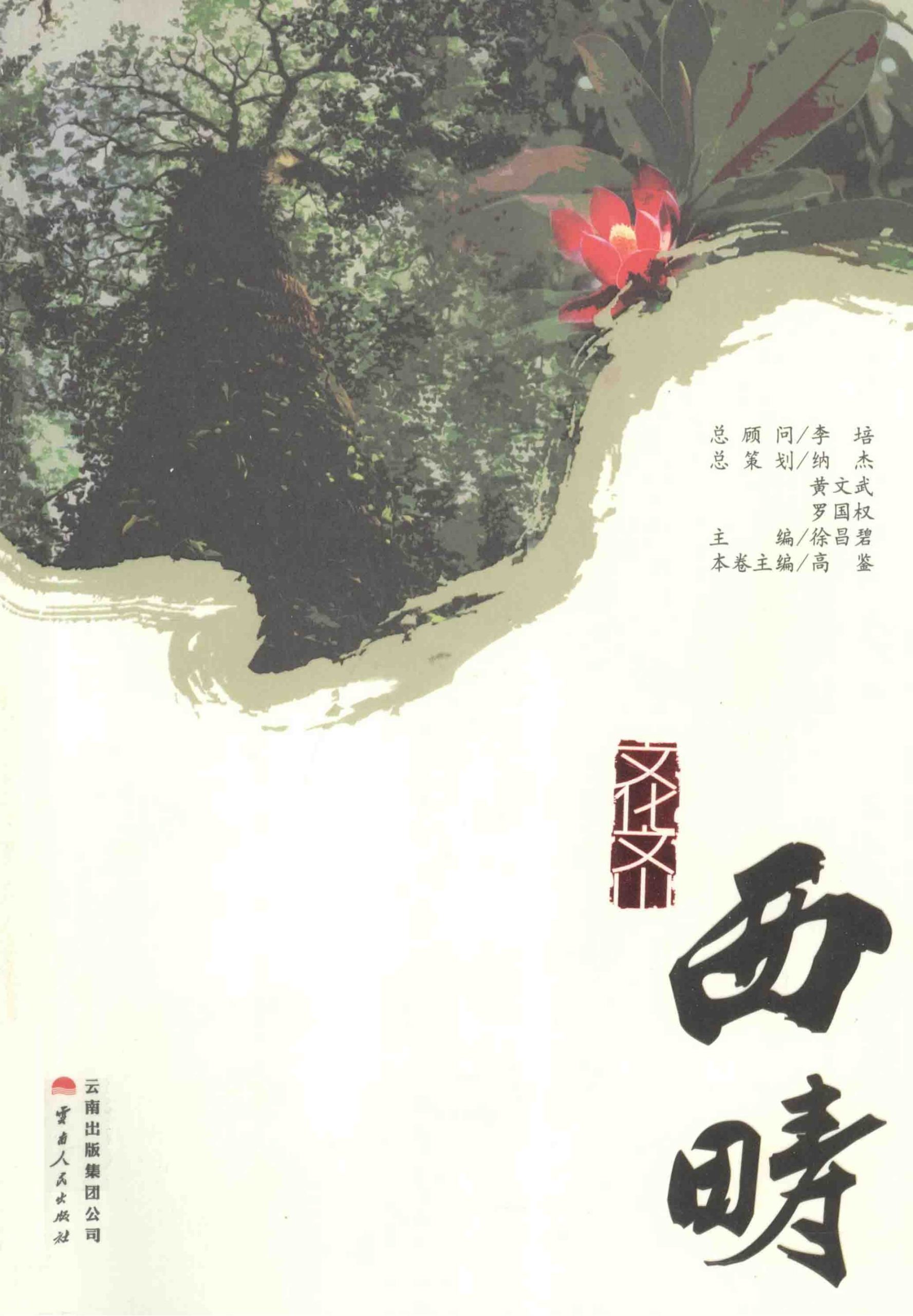 文化文山·西畴-滇史网